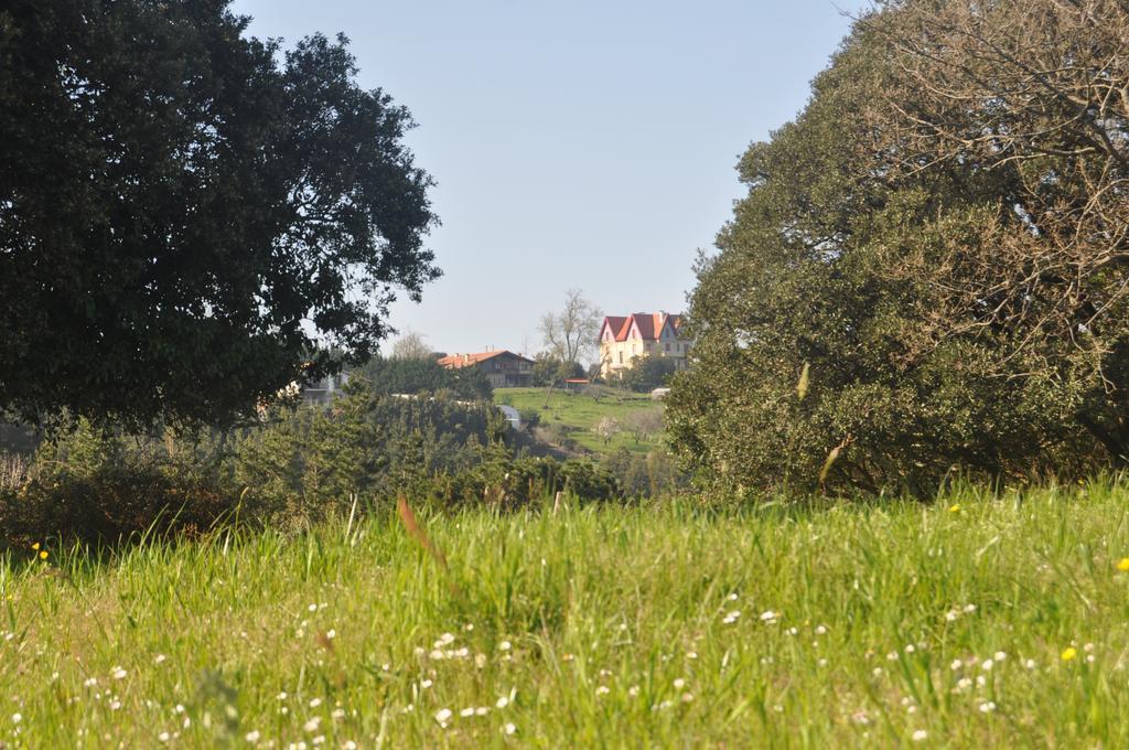 Apikale Affittacamere Ea Esterno foto
